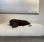 Dog's Companion Dog bed ivory leather look