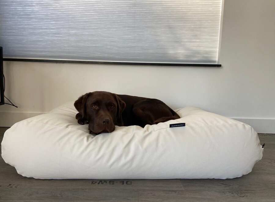 Dog bed ivory leather look large