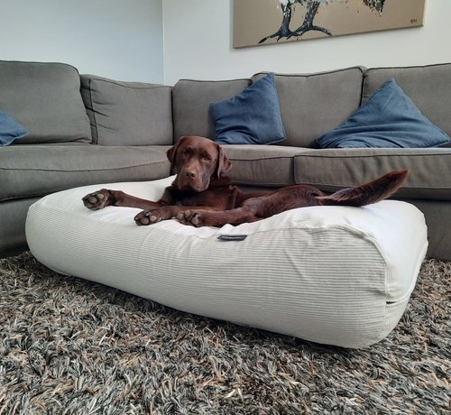Dog bed off white corduroy Dog beds by Dog s Companion