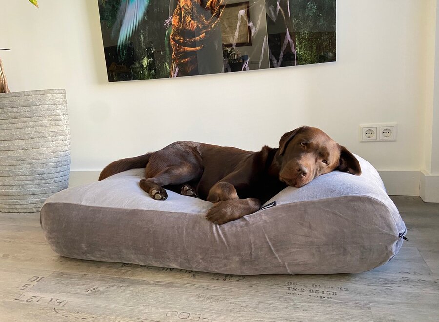 Dog bed Soft Velvet Grey