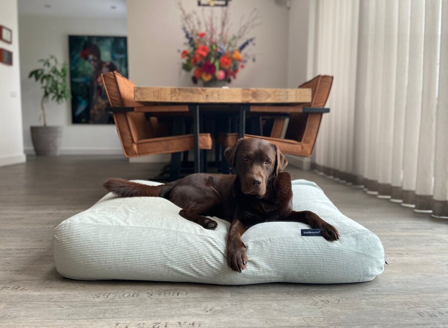 Dog bed cool mint green corduroy