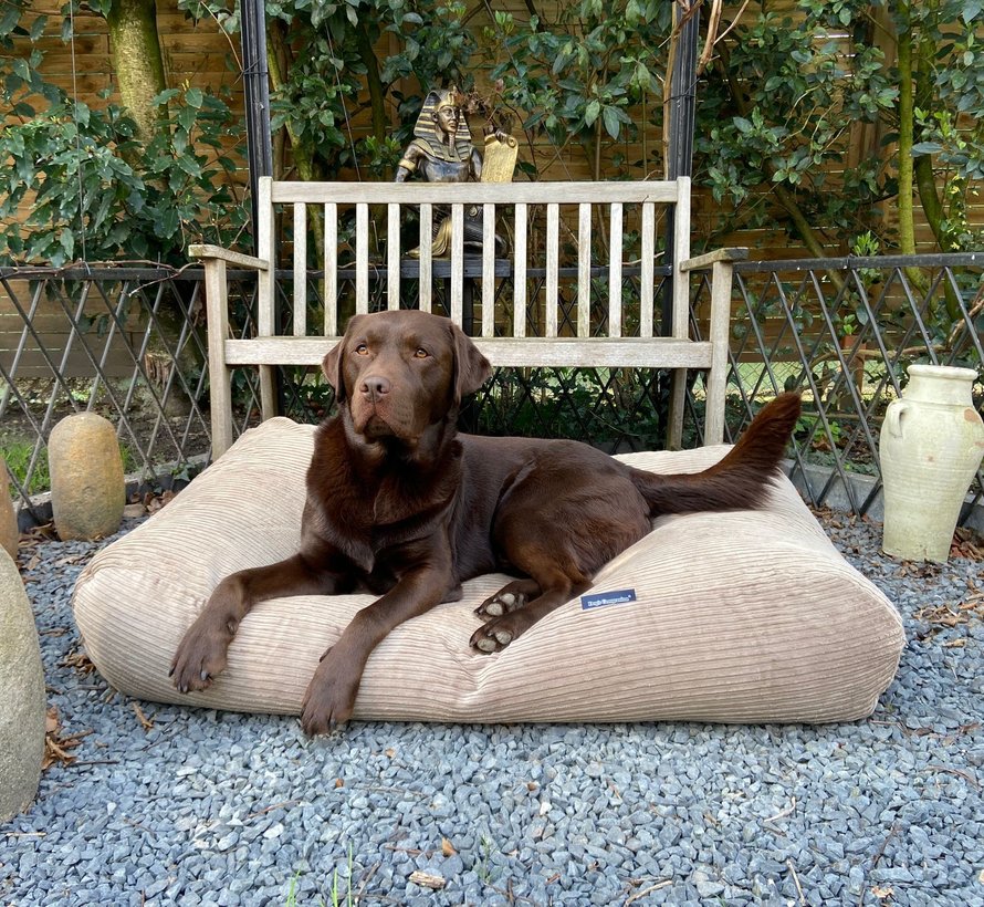Dog bed liver corduroy Dog beds by Dog's Companion®