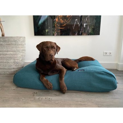 Limited Edition dog beds and dog bed covers