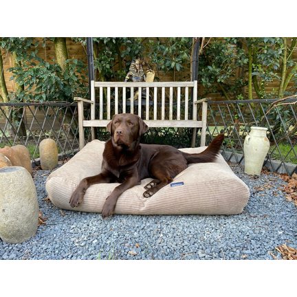 New dog beds & dog bed covers