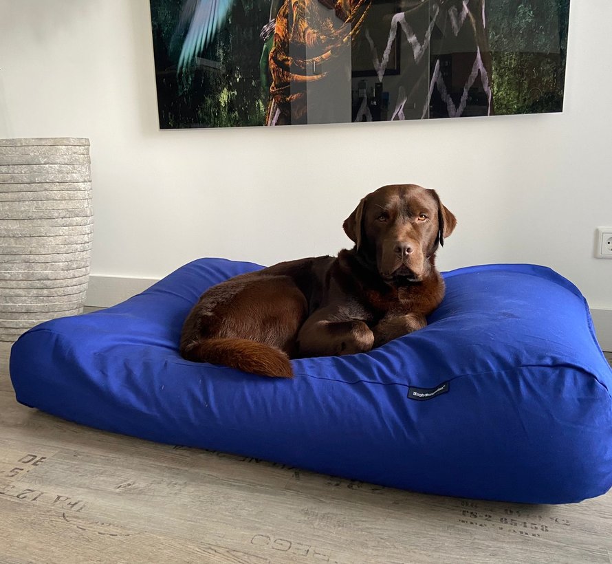 Dog bed royal blue Dog beds by Dog's Companion®
