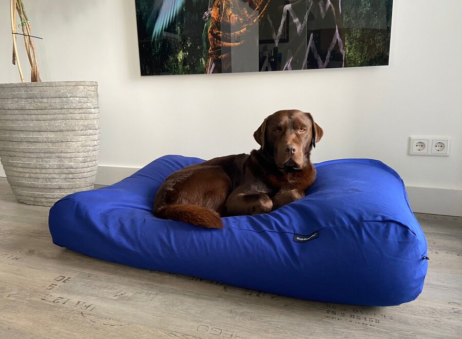 Dog bed royal blue