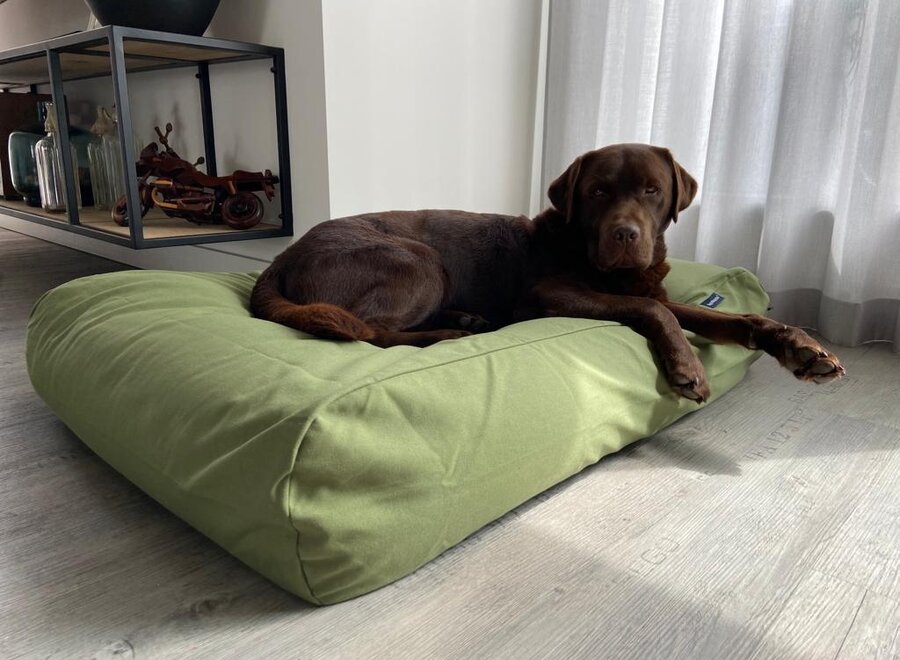 Dog bed olive