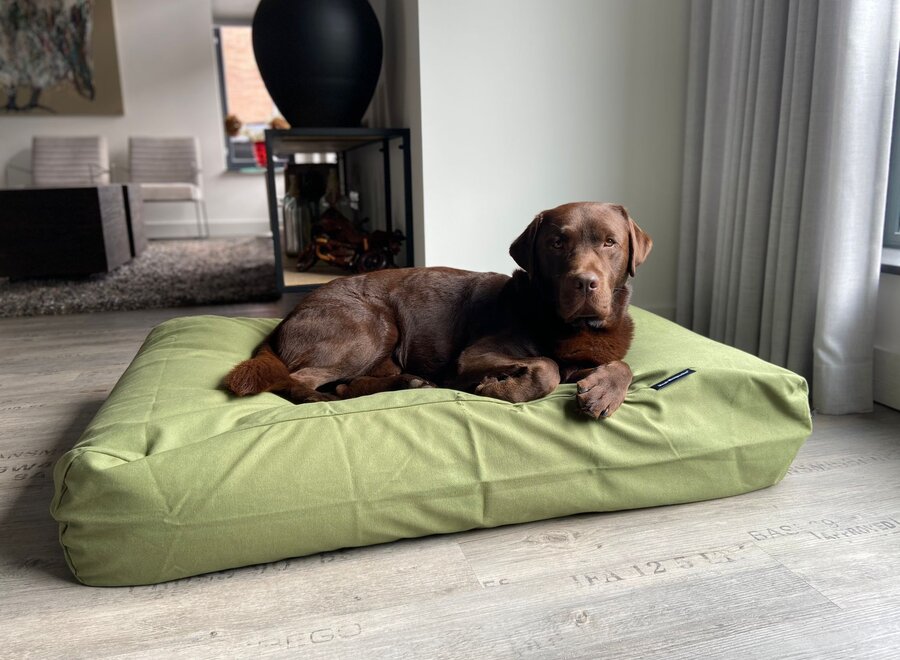 Dog bed olive