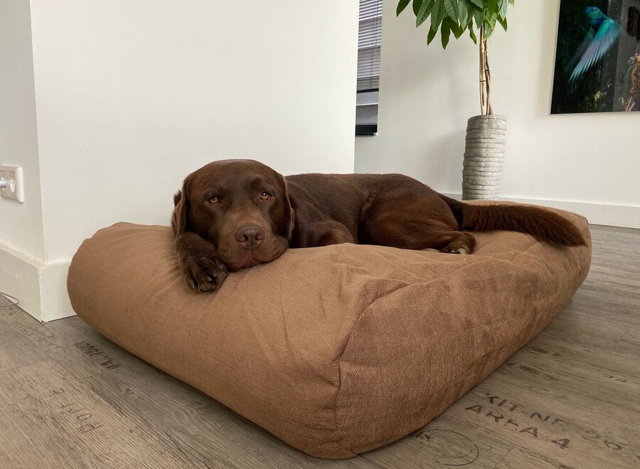 Dog bed café latte upholstery