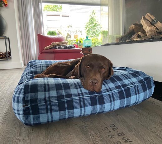 Fleece dog beds