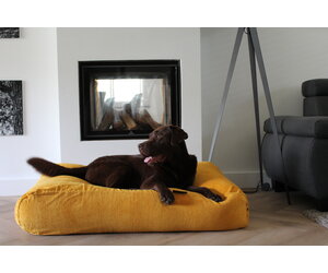 Tipi pour Chien + Coussin Rotin Miel Jaune-Noir J-line