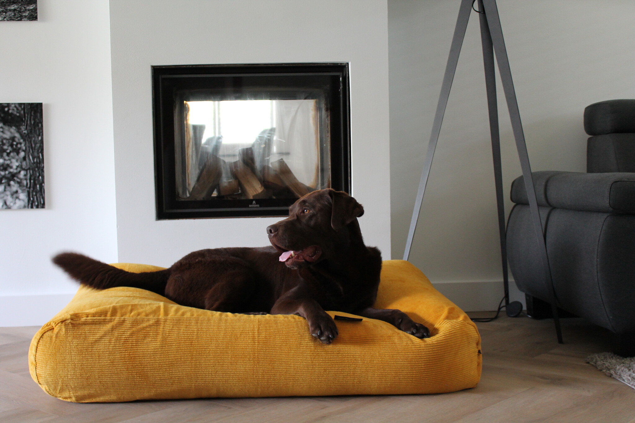 Dog bed ochre yellow corduroy Dog beds by Dog's Companion®