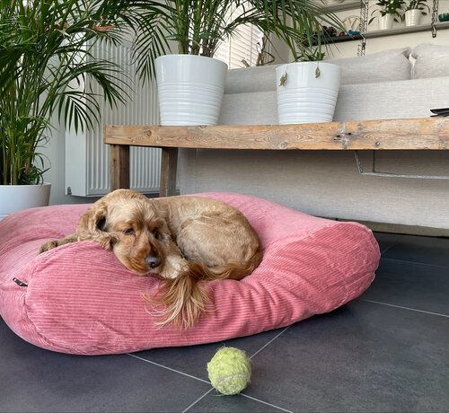Dog's Companion Dog bed old pink corduroy