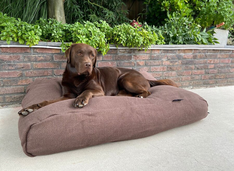 Dog bed Copenhagen mocha