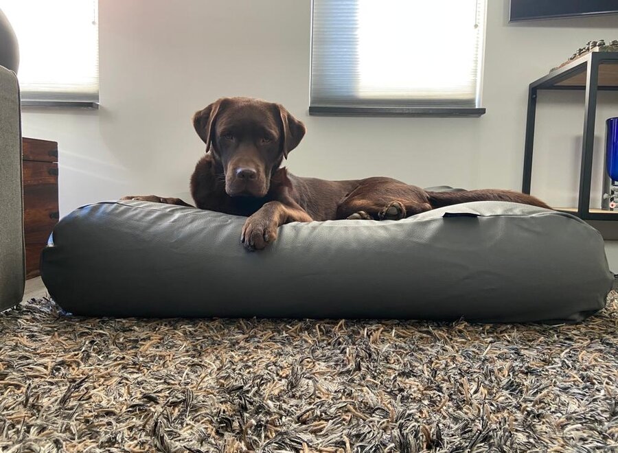 Dog bed mouse grey leather look small