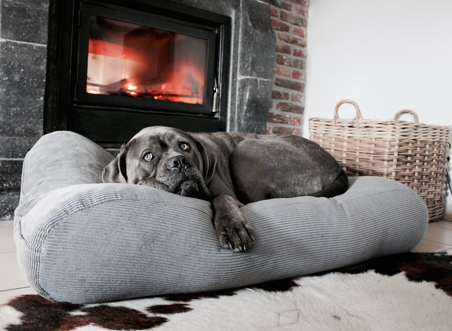 Dog bed mouse grey corduroy extra small