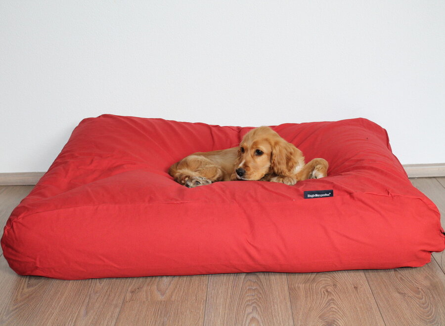 Lit pour chien rouge brique