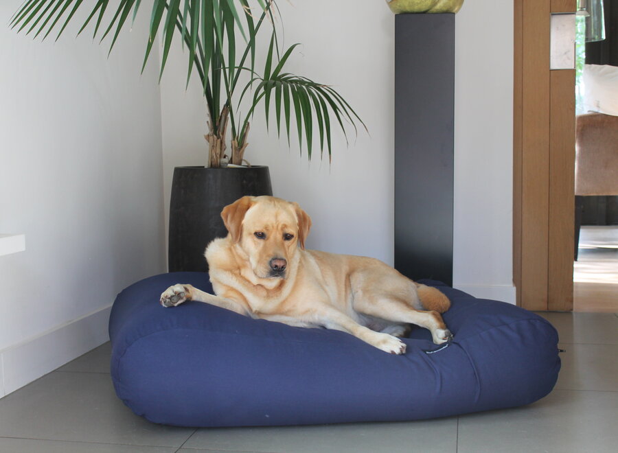 Lit pour chien bleu foncé extra small