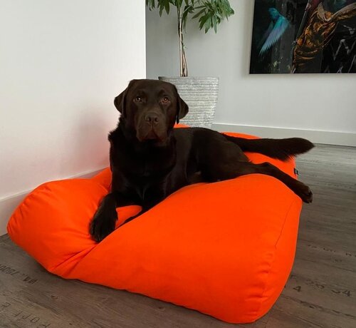 Dog's Companion Dog bed orange coating large