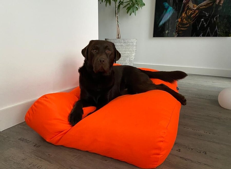 Dog bed orange coating large