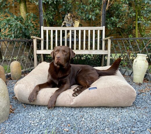 Double corduroy dog beds