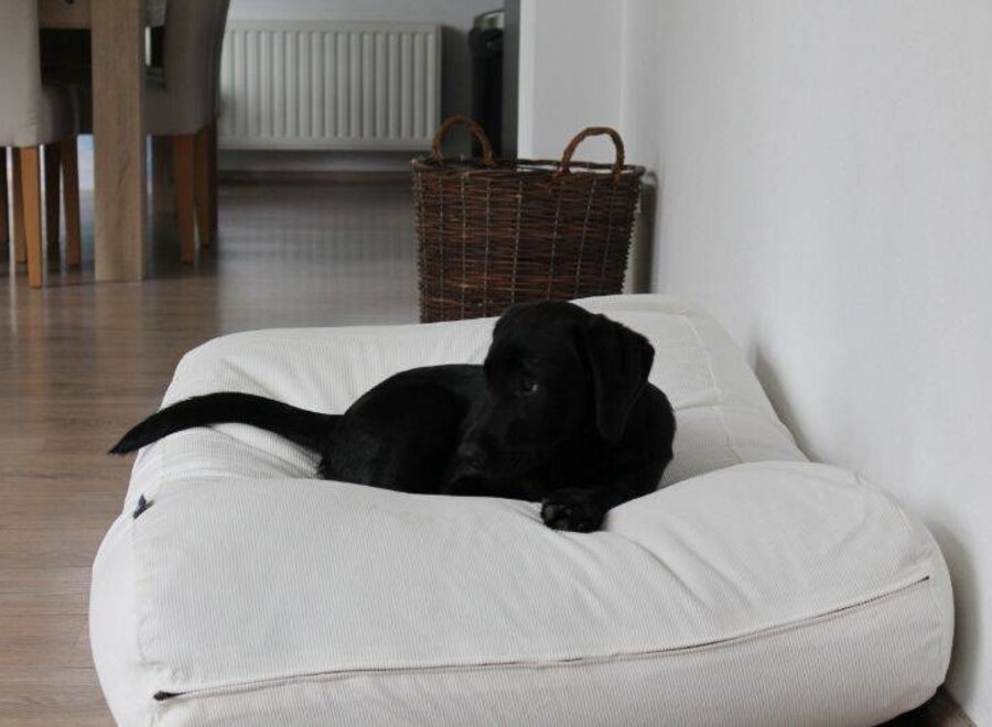 Dog bed off-white corduroy small