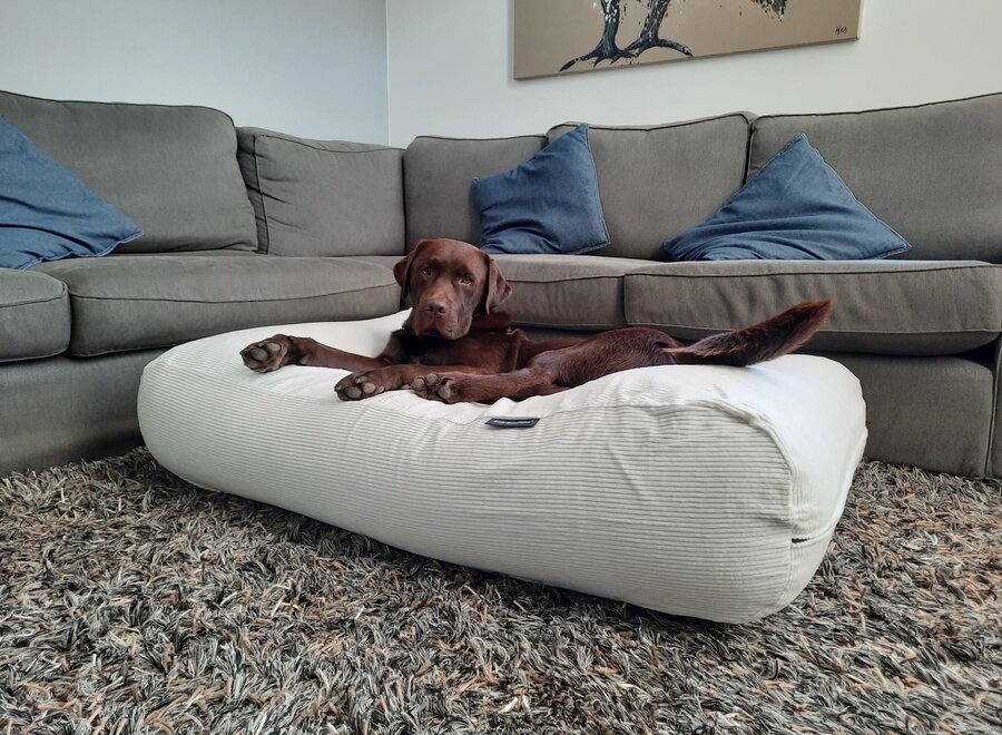 Dog bed off-white corduroy small