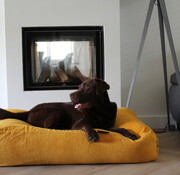 Dog's Companion Dog bed ochre yellow corduroy small