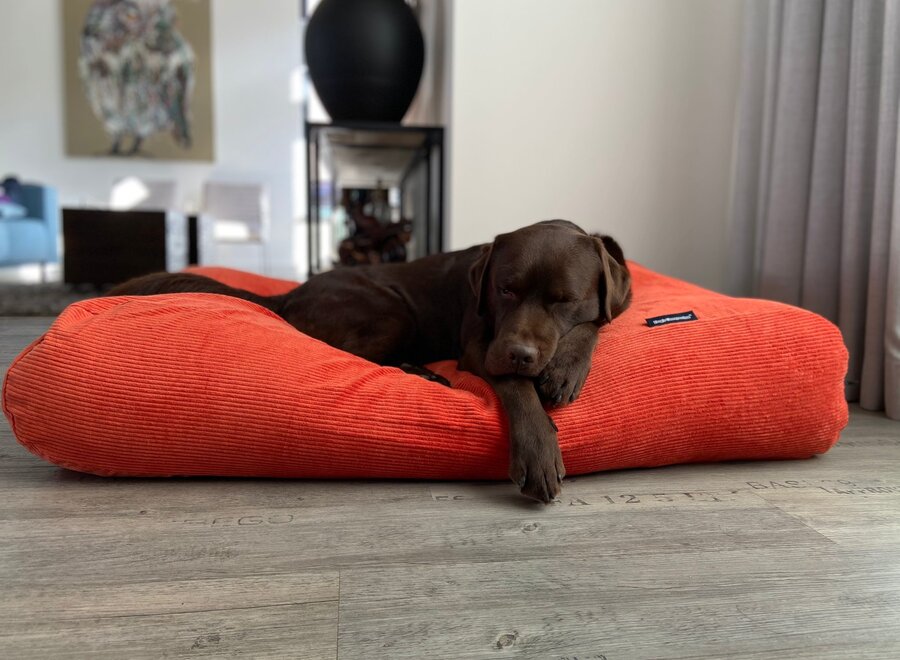 Dog bed orange corduroy small