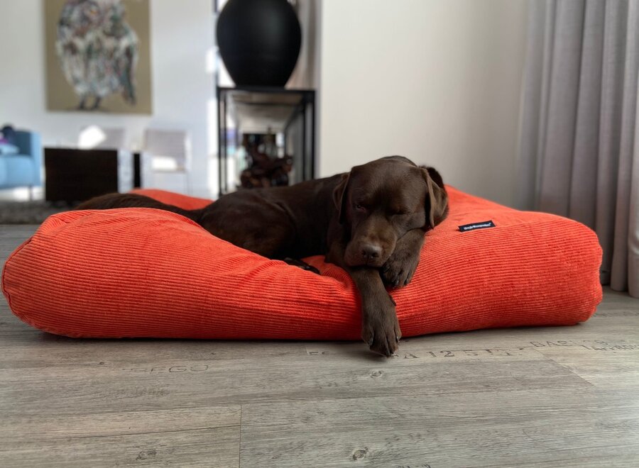 Dog bed orange corduroy medium