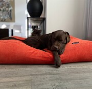Dog's Companion Dog bed orange corduroy superlarge