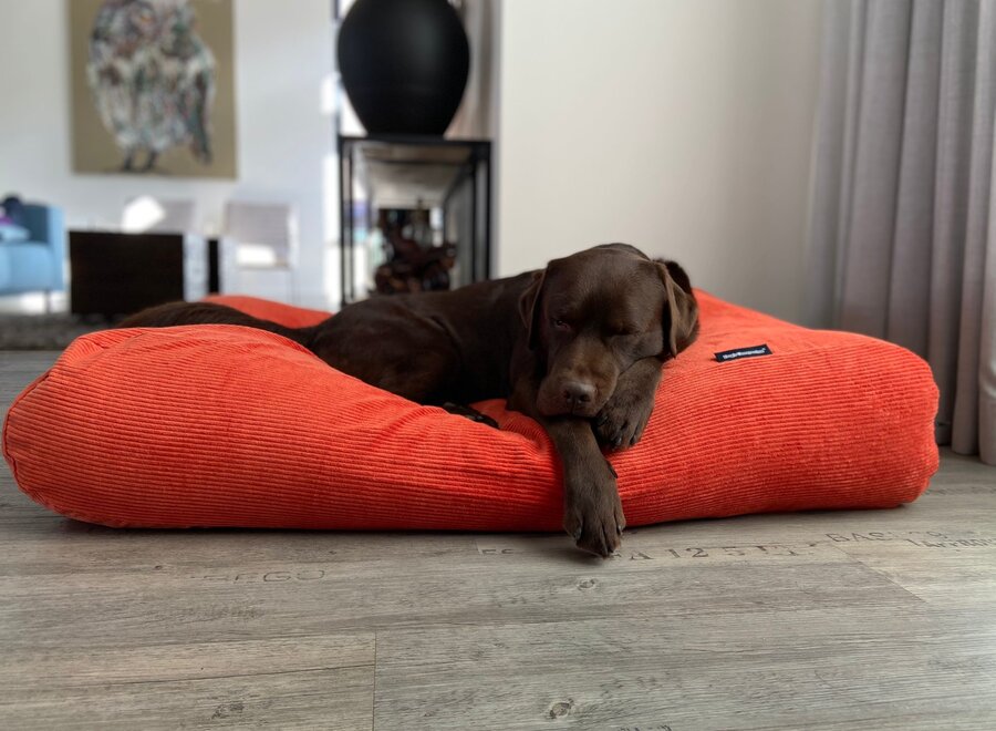 Dog bed orange corduroy superlarge