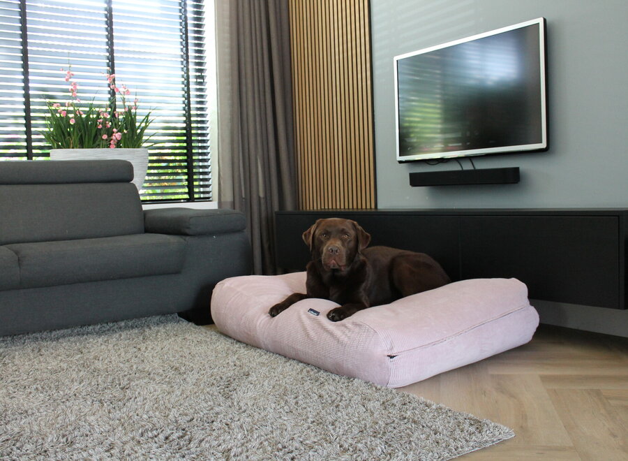 Lit pour chien rose clair velours côtelé extra small