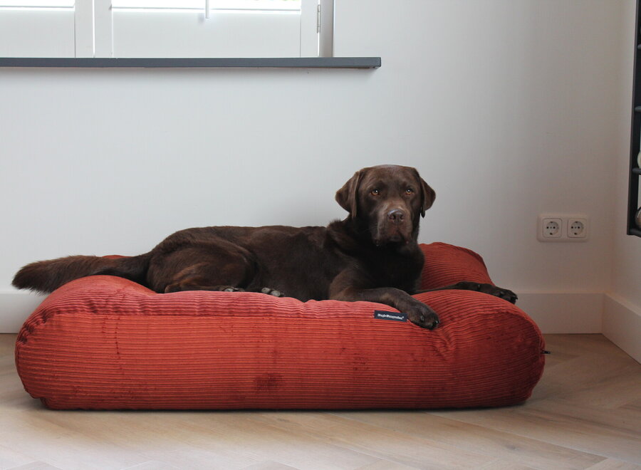Dog bed brique double corduroy small