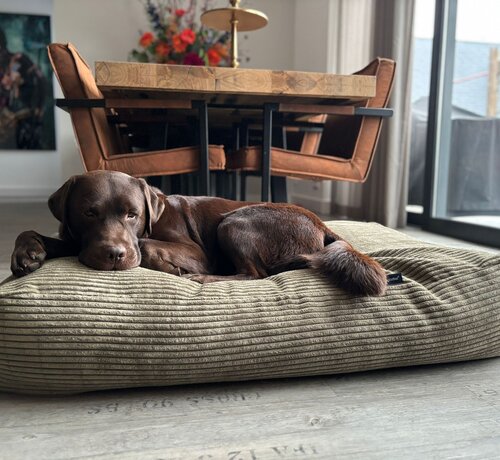 Dog's Companion Lit pour chien olive giant velours côtelé