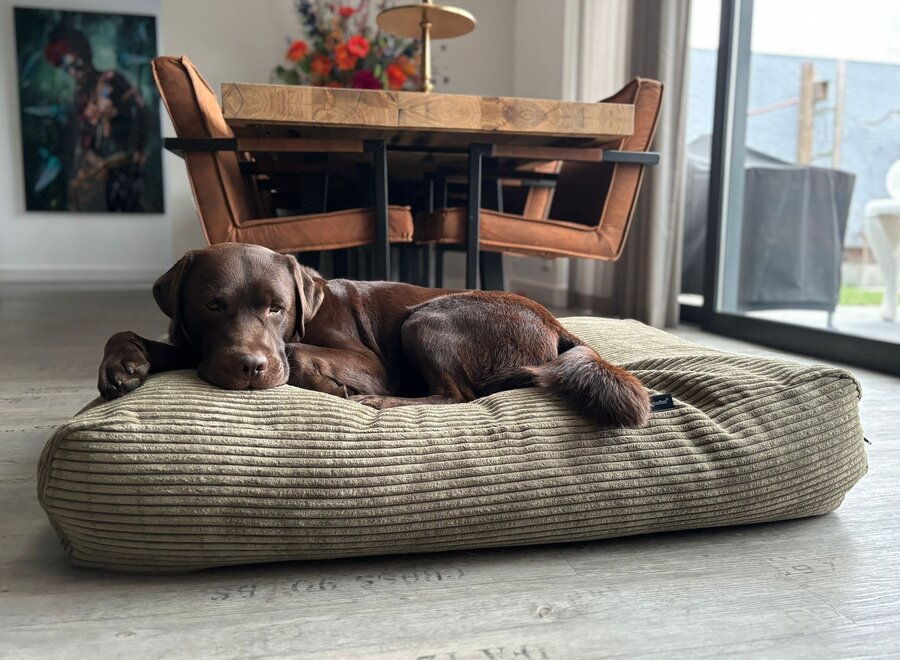 Dog bed olive giant corduroy