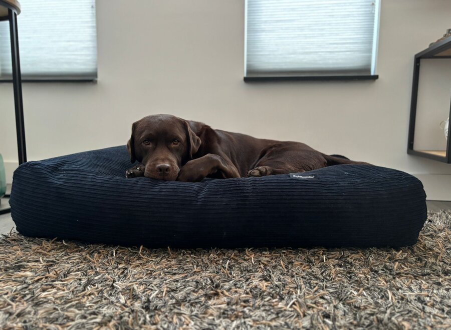 Dog bed dark blue double corduroy