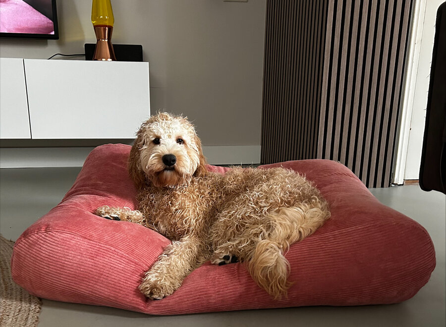 Lit pour chien vieux rose velours côtelé medium