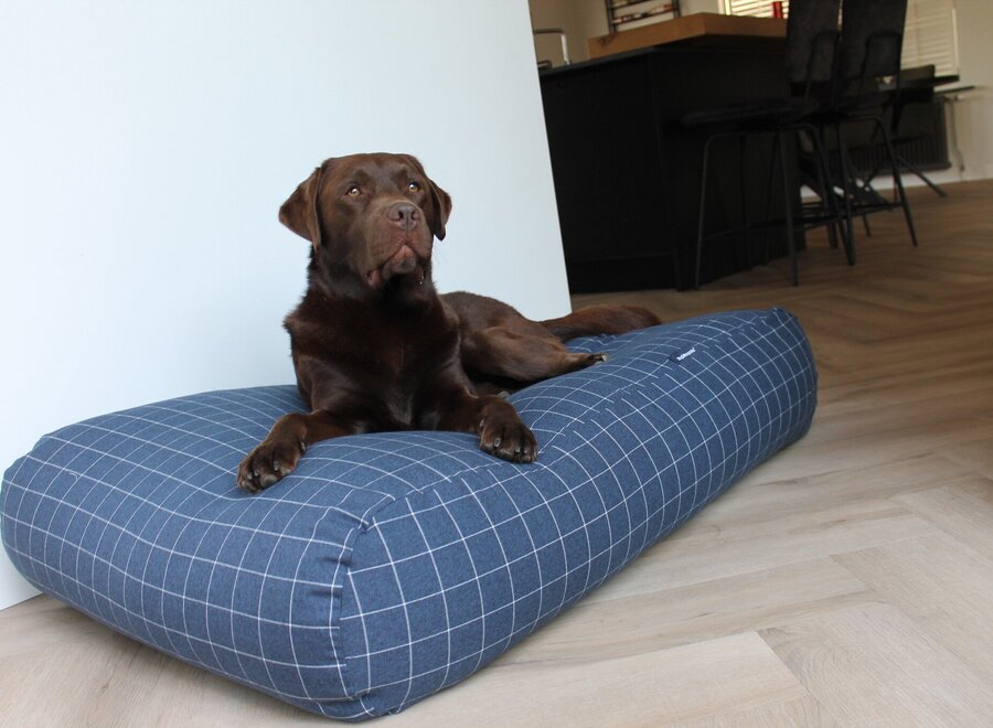 Dog bed Manhattan mid blue large