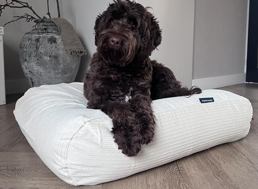 Dog bed off-white double corduroy medium