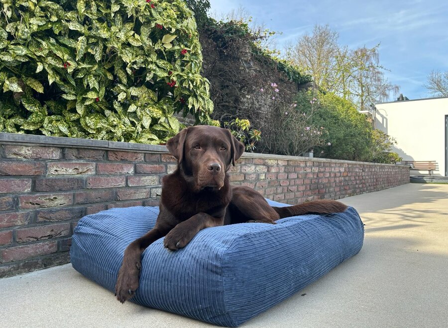 Dog bed rafblue double corduroy