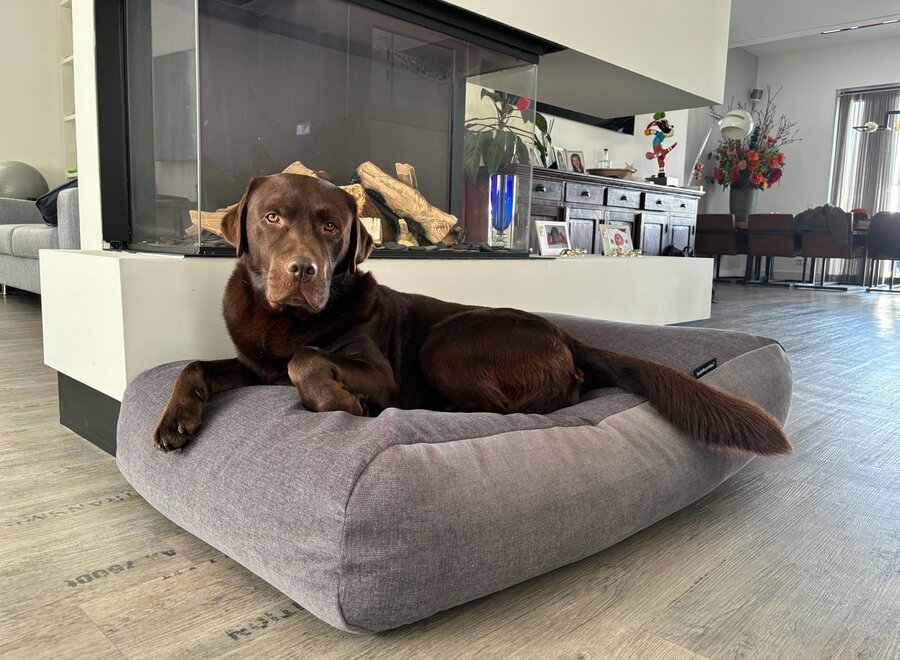 Dog bed dark grey bouclé