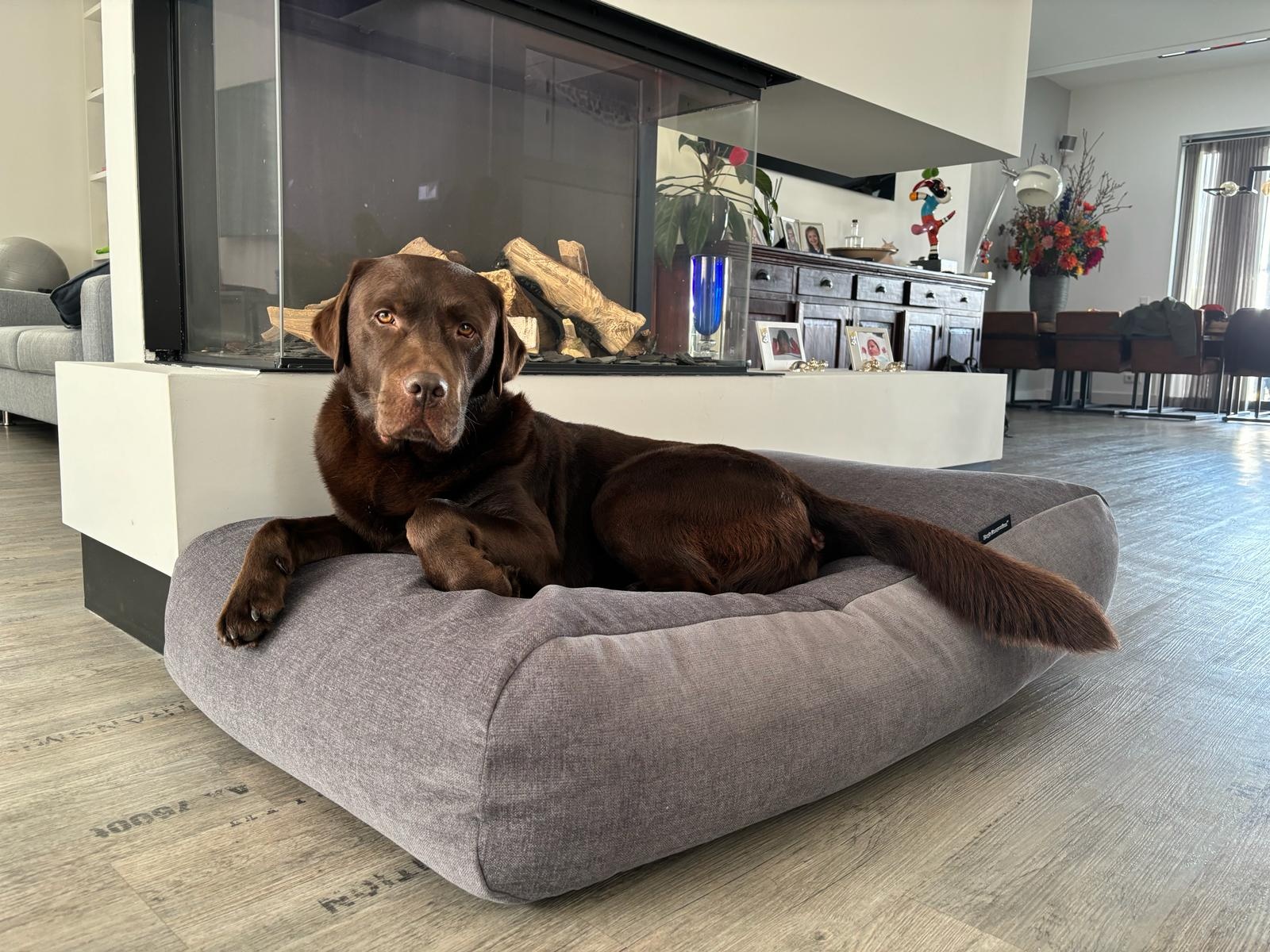 Dog bed dark grey bouclé Dog beds by Dog's Companion®