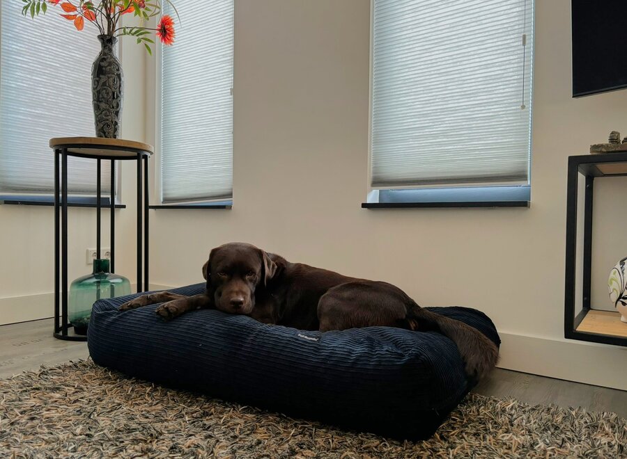 Dog bed dark blue double corduroy