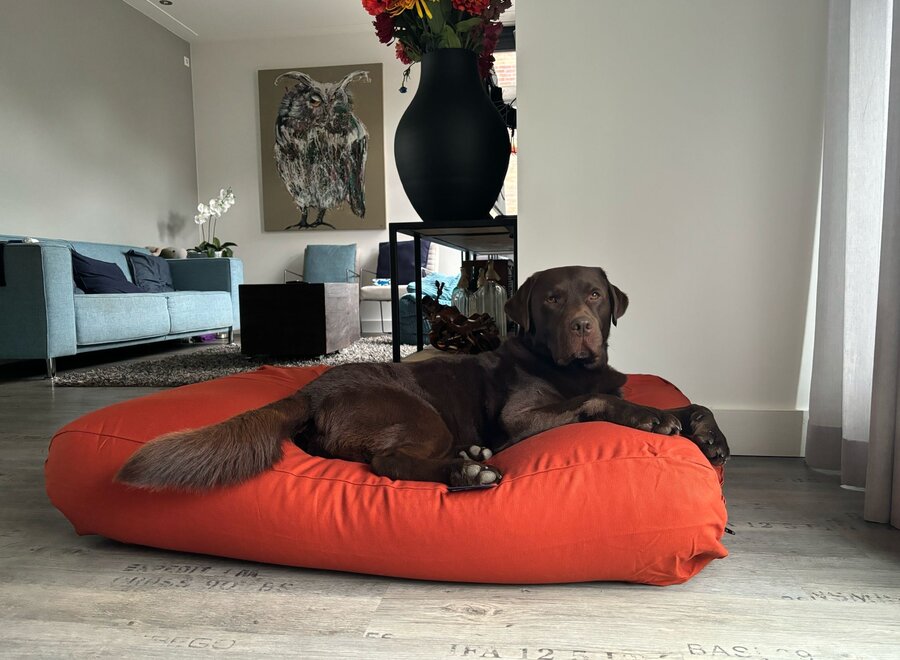 Dog bed terracotta