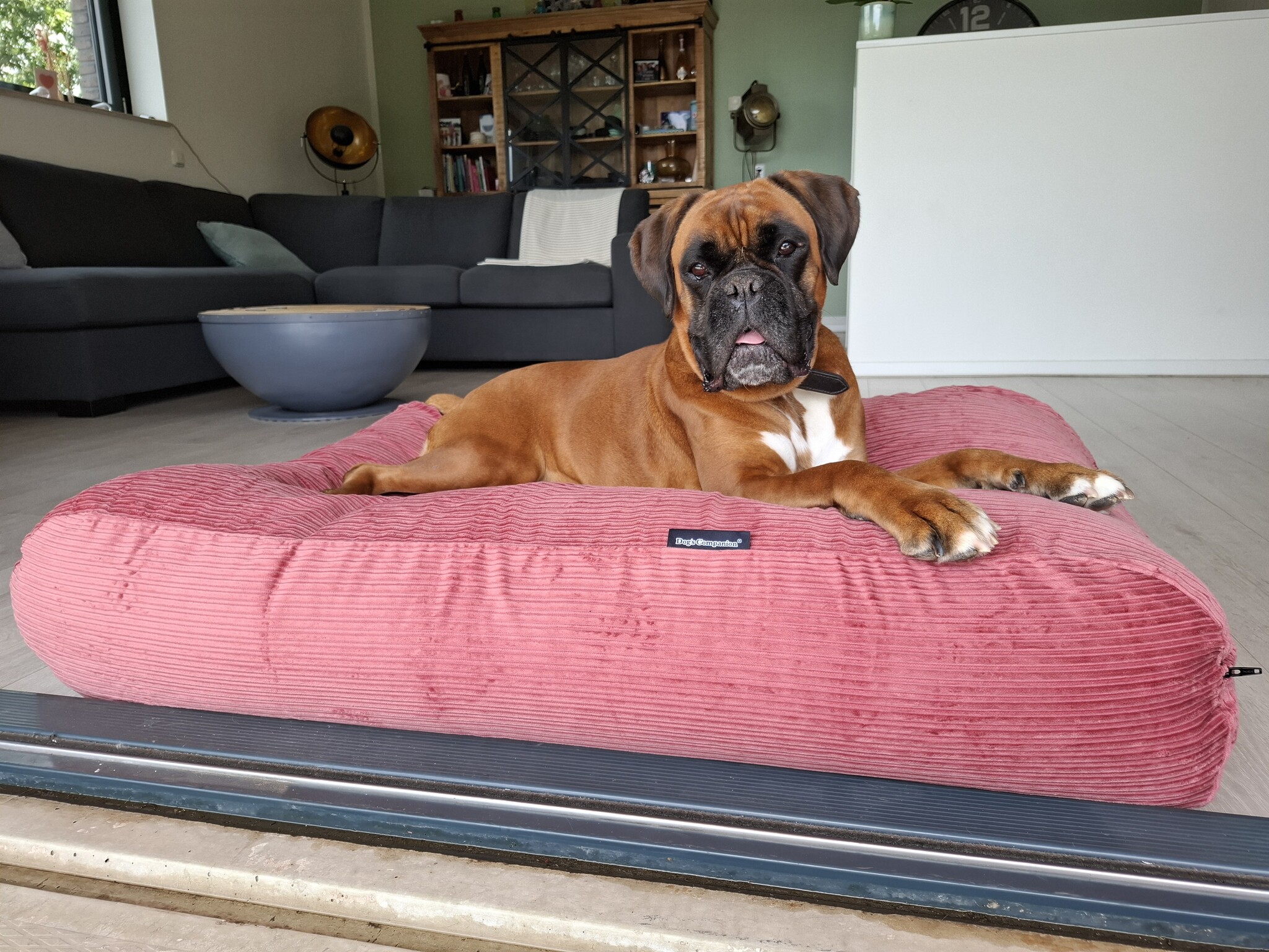 Coussin pour chien personnaisé