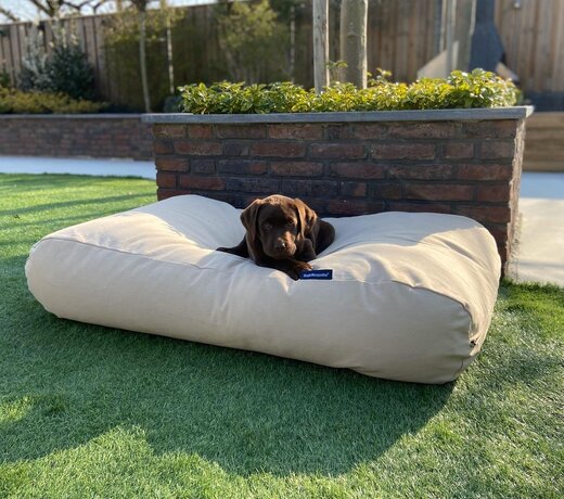 Dog beds beige