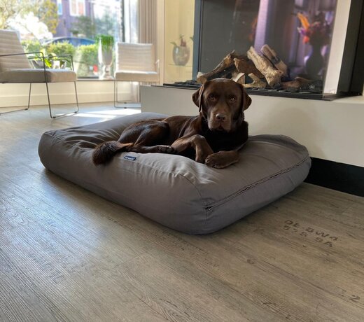 Coussins pour chiens gris