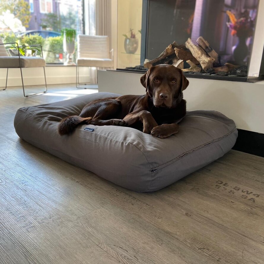 Dog beds grey