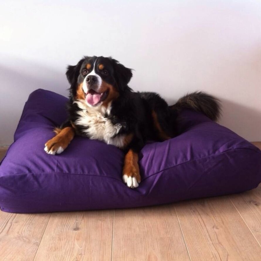 Coussins pour chiens violet